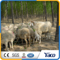 Cerca de campo contra javalis e veados selvagens feitos na china (fábrica ISO9001)